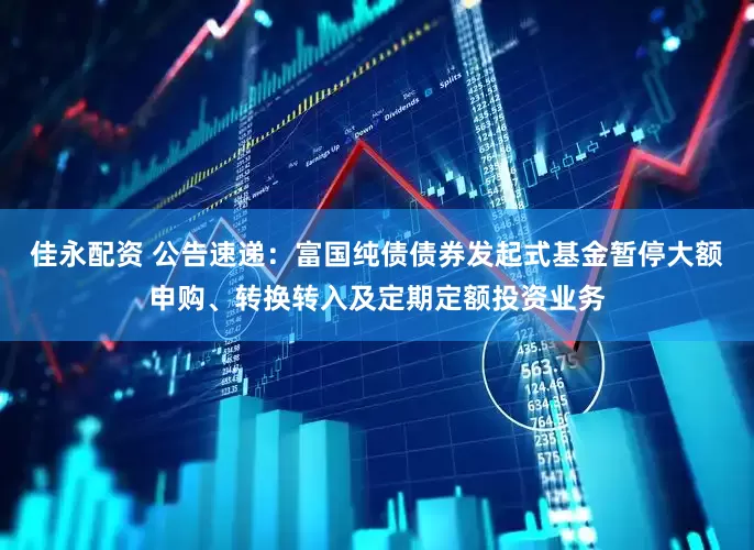 佳永配资 公告速递：富国纯债债券发起式基金暂停大额申购、转换转入及定期定额投资业务