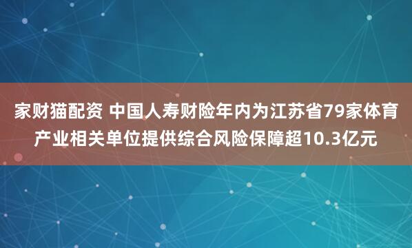 家财猫配资 中国人寿财险年内为江苏省79家体育产业相关单位提供综合风险保障超10.3亿元