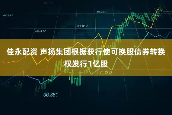 佳永配资 声扬集团根据获行使可换股债券转换权发行1亿股
