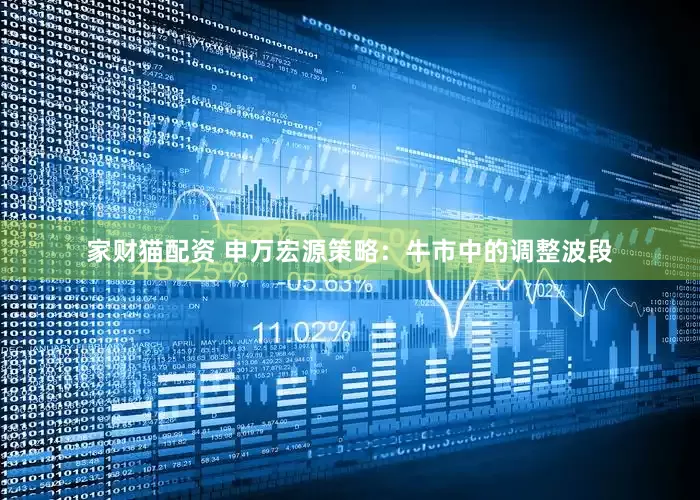 家财猫配资 申万宏源策略：牛市中的调整波段