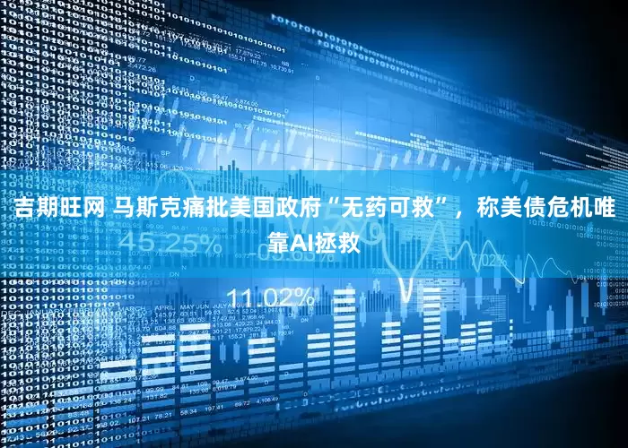 吉期旺网 马斯克痛批美国政府“无药可救”，称美债危机唯靠AI拯救