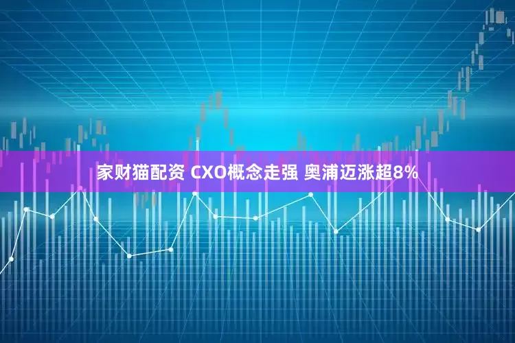 家财猫配资 CXO概念走强 奥浦迈涨超8%